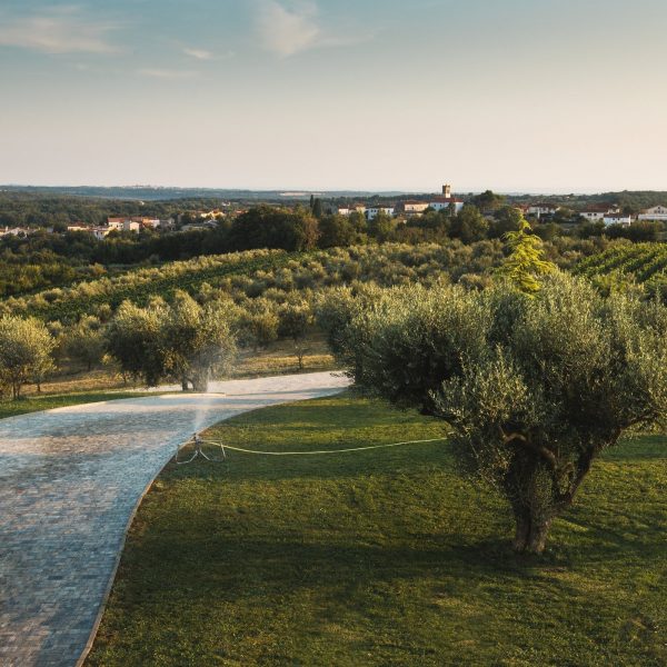 GRWW0: Expandable Olive Grove with Meadow 12ha Lesbos/Greece