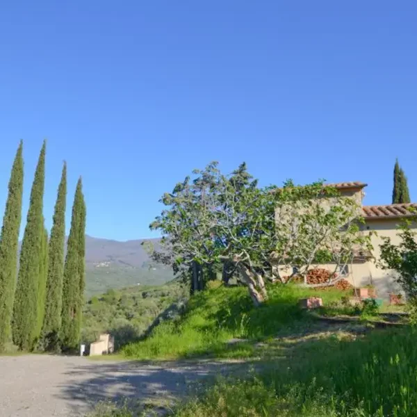 ITVH1: Renovated Country Estate with Wineyard, splendid panoramic Position in Tuscany